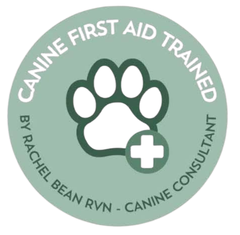 canine first aid