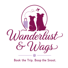 main logo transparent
